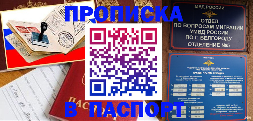 купить прописку в Алтайском крае